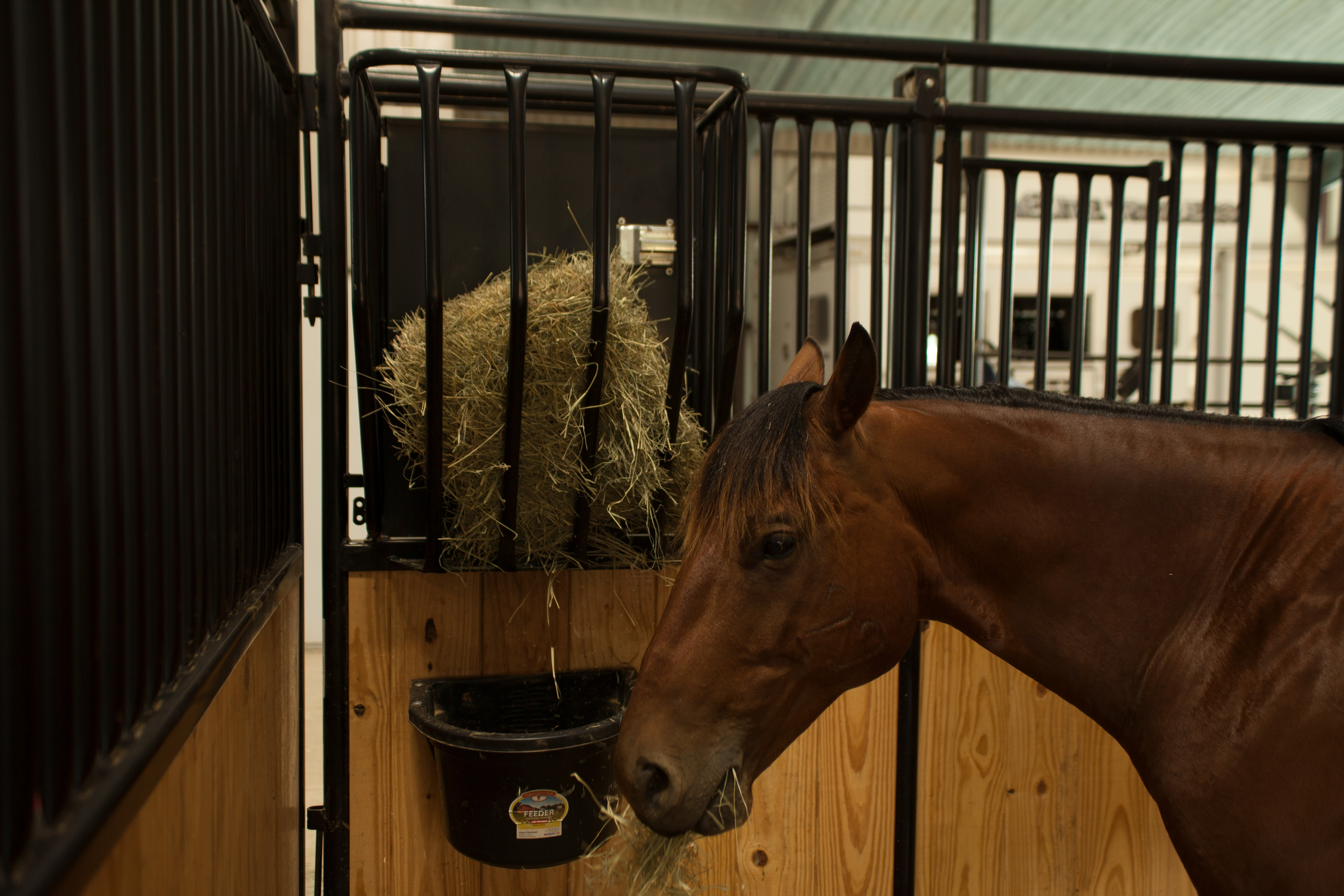 HSF HorseStalls Bynum 13.jpg